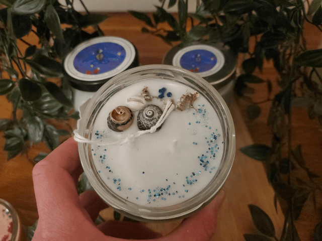 Velvet Forest Soy Candle